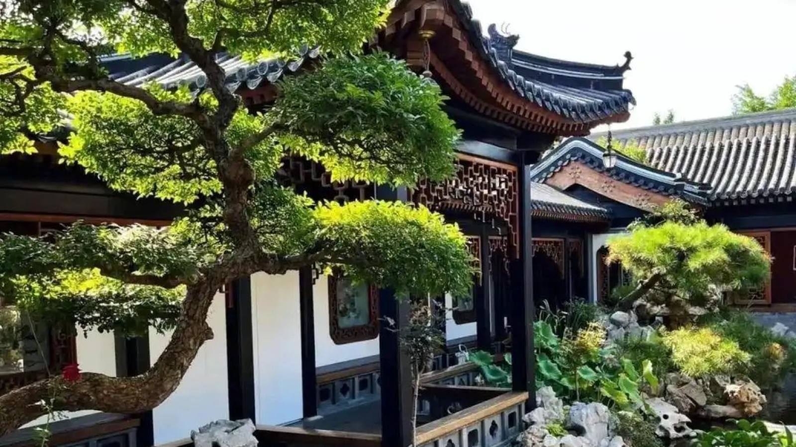 悟空体育首页主视觉：赛场看台与实时数据界面