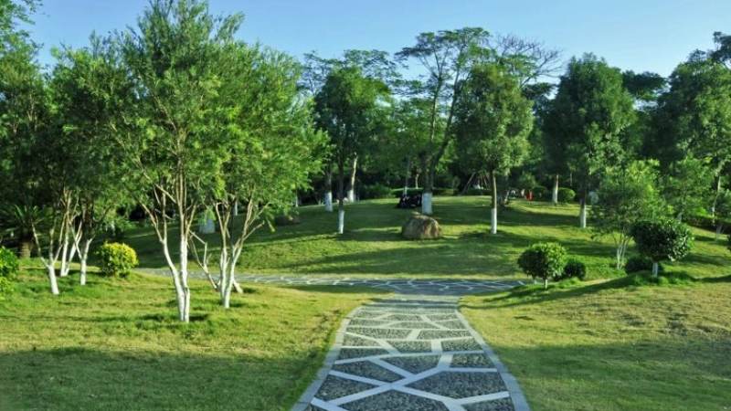 欧冠决赛时间是怎么定的？开球安排与查询方法全解析